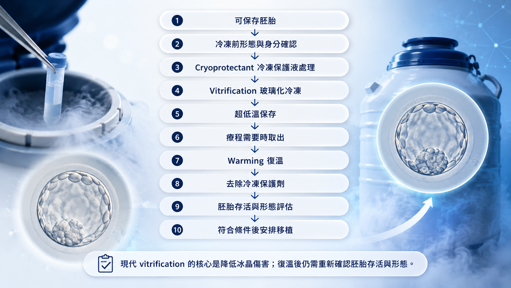 胚胎從玻璃化冷凍保存到復溫與移植前評估的流程圖