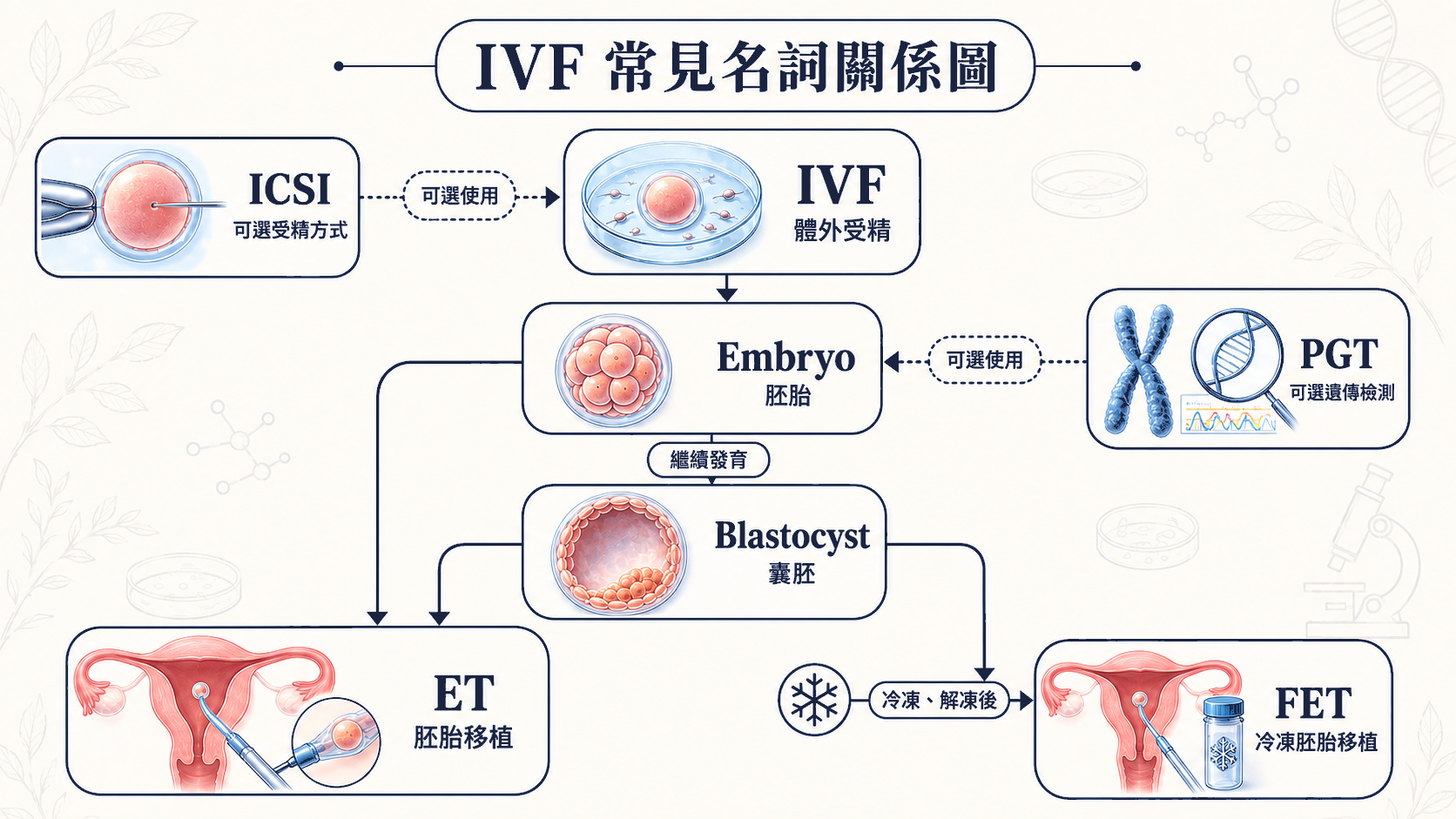 IVF 常見名詞關係圖，說明 ICSI、胚胎、囊胚、ET、FET 與 PGT 的關係