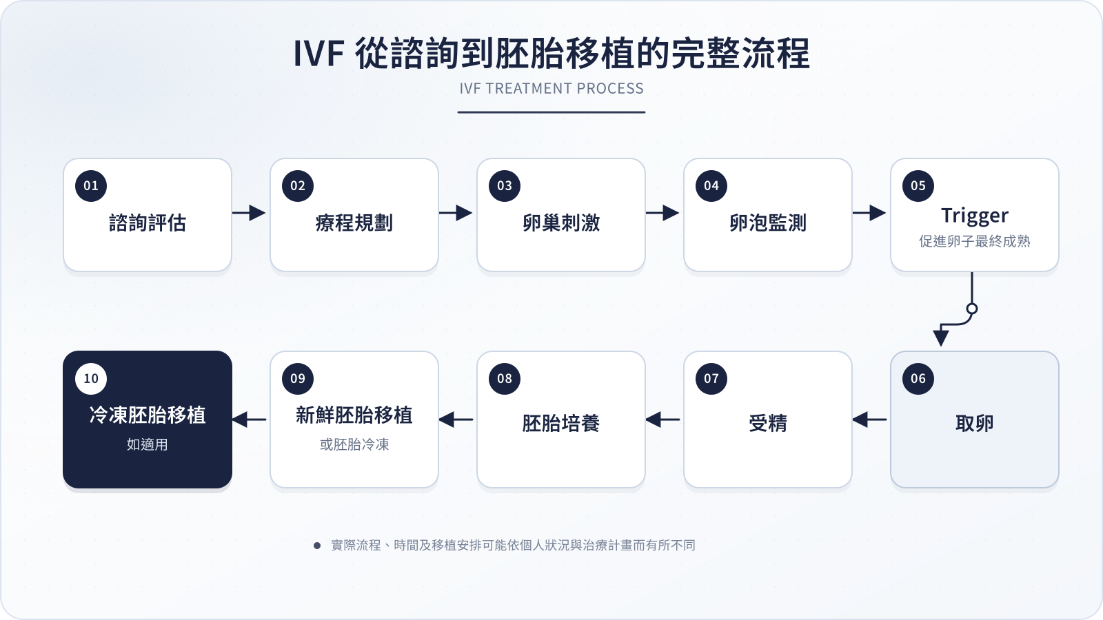 IVF 從諮詢評估、取卵、受精、胚胎培養到胚胎移植的完整流程