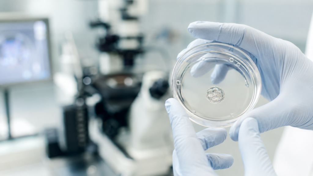IVF 是什麼？體外受精流程與常見名詞整理